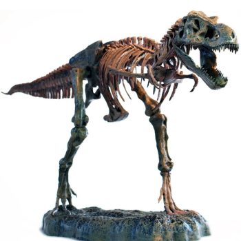3D DIY Tyrannosaurus Rex Skeleton Model Kit