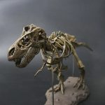 MetalFun (Metal Fun) 3D DIY Tyrannosaurus Rex Skeleton Model Kit (4)