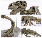MetalFun (Metal Fun) 3D DIY Tyrannosaurus Rex Skeleton Model Kit (4)